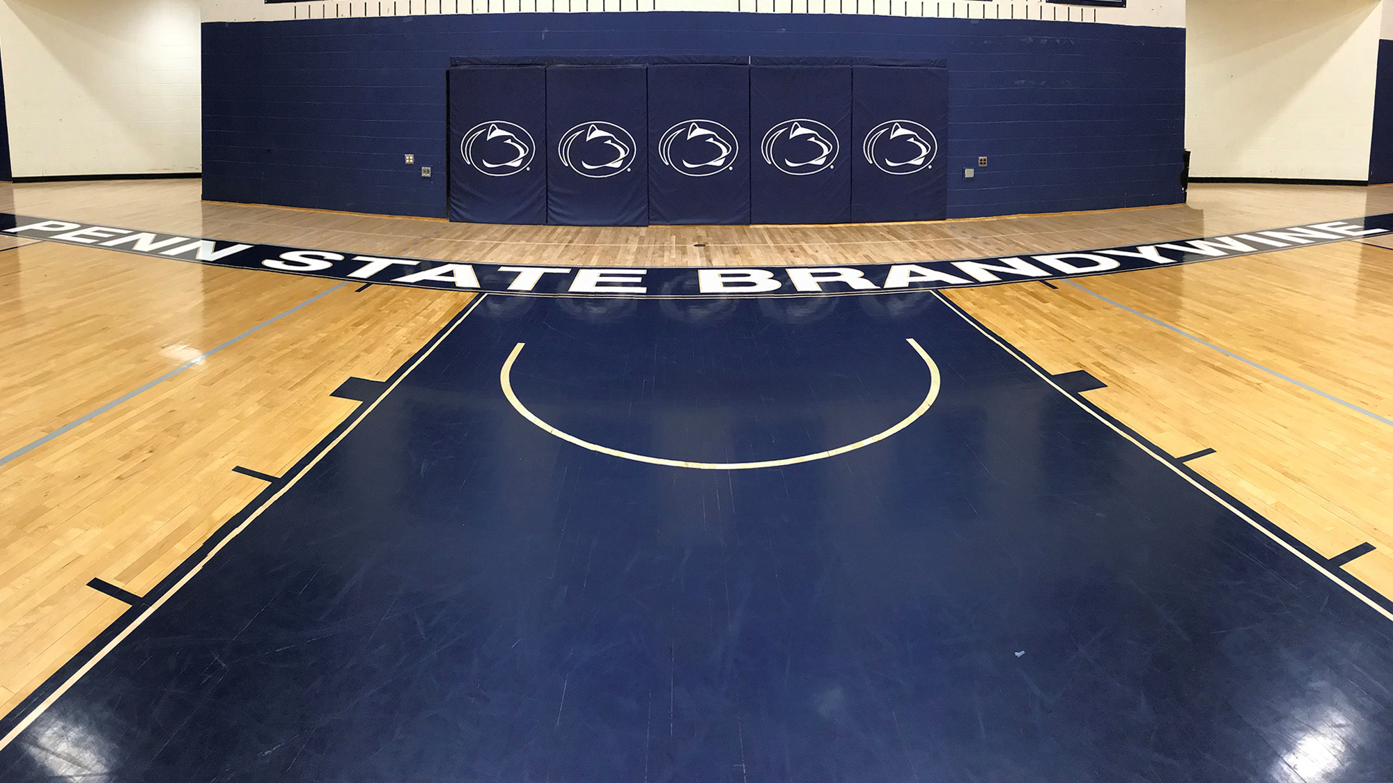 Penn State Brandywine Athletics
