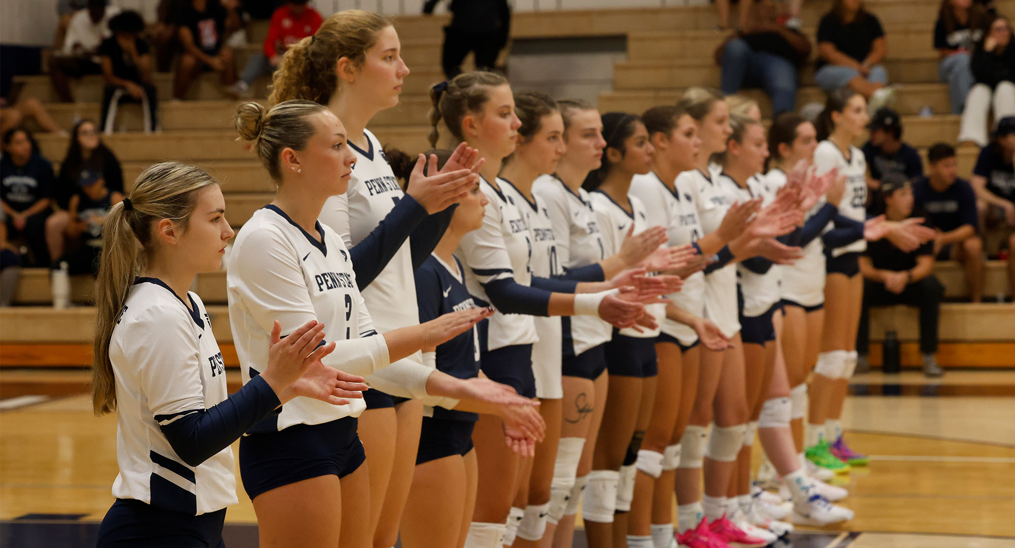 2024 Brandywine volleyball team