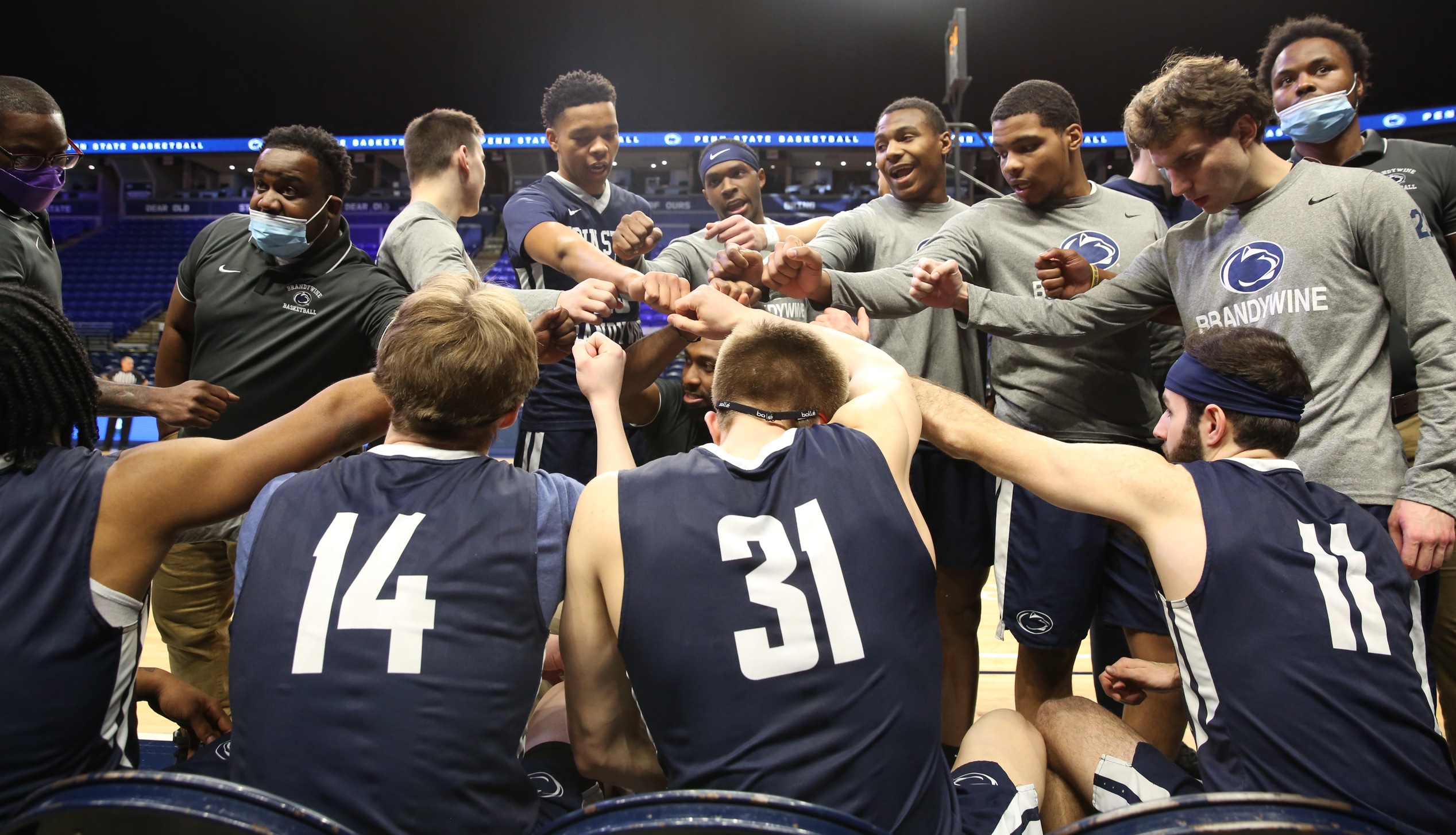 Penn State Brandywine men's basketball