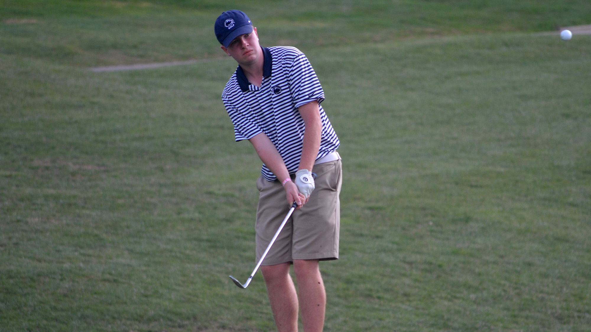 Matt Cavanaugh