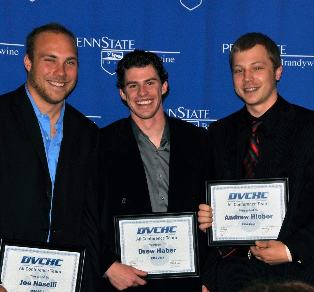 Joe Naselli, Drew Haber and Andrew Hieber:
2013 DVCHC All-Conference Awardees