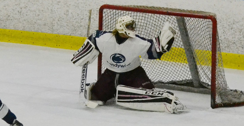 Ice Hockey Hosts DVCHC Semifinals Sunday