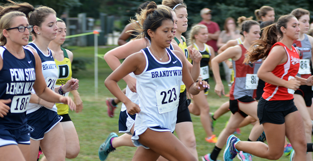 Brandywine Women Place Second, Men Third At Mont Alto Invitational
