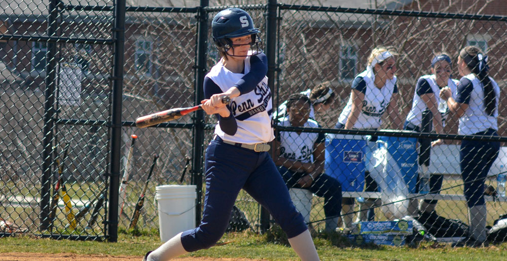 Lions Fall At Ursinus