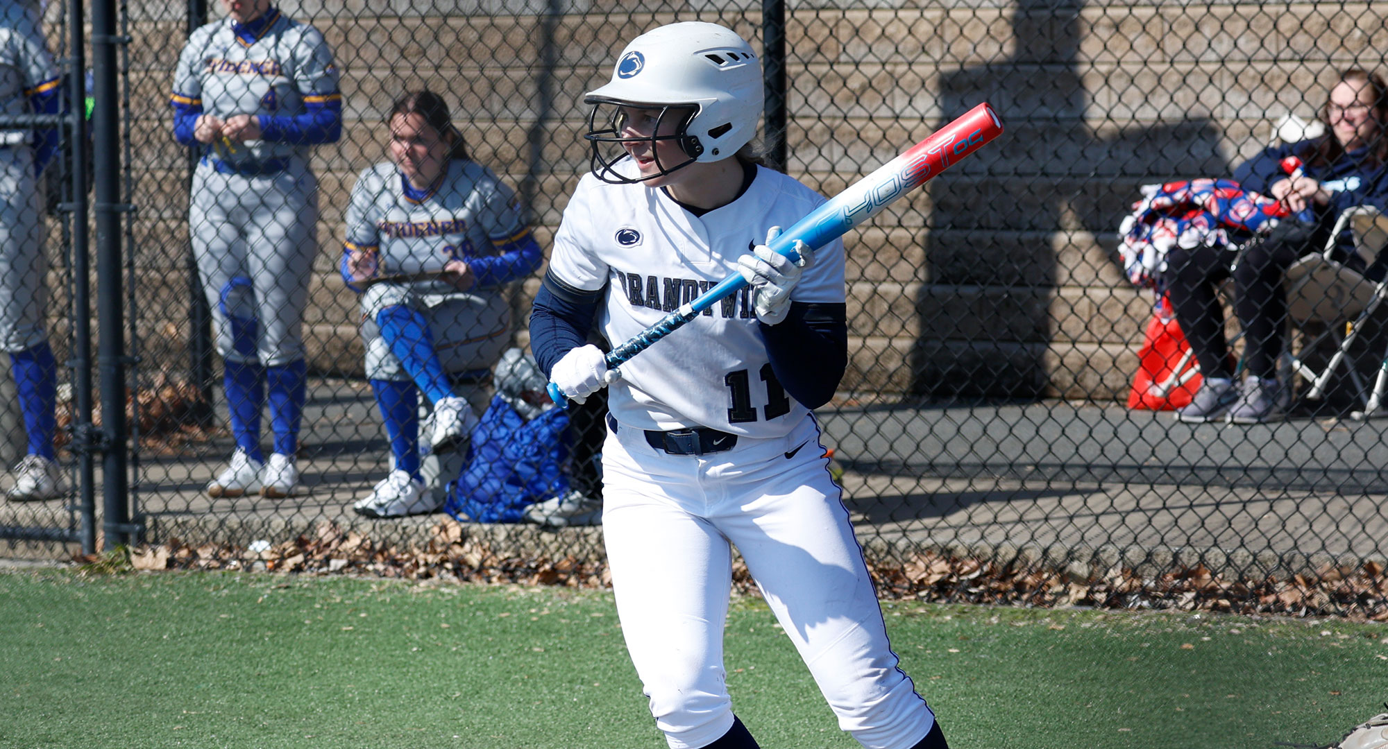 softball player attempting bunt