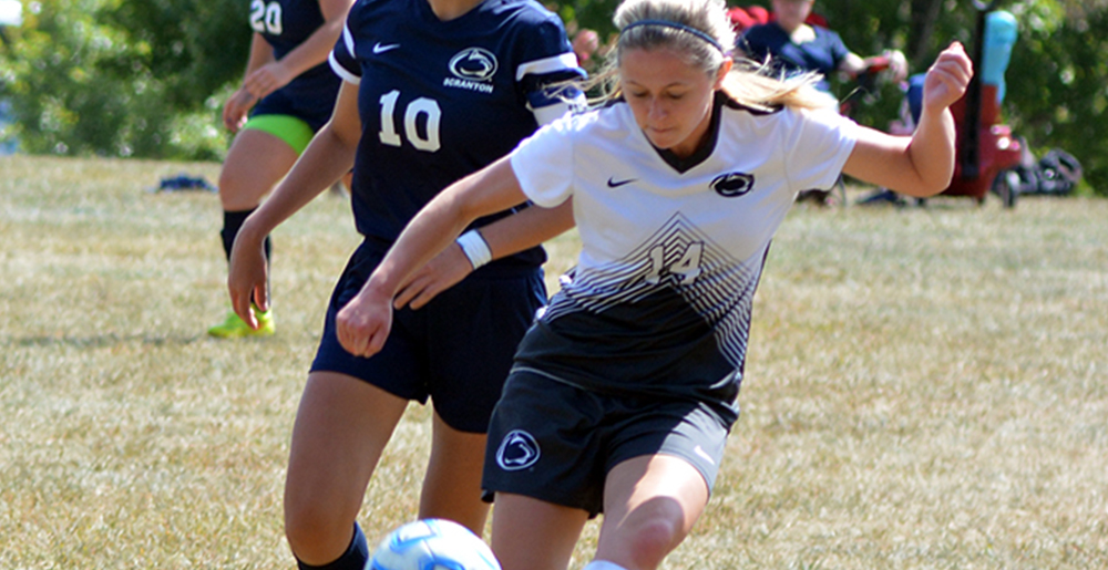 Brandywine Blanks GA 6-0