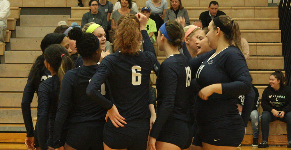 Penn State Brandywine volleyball