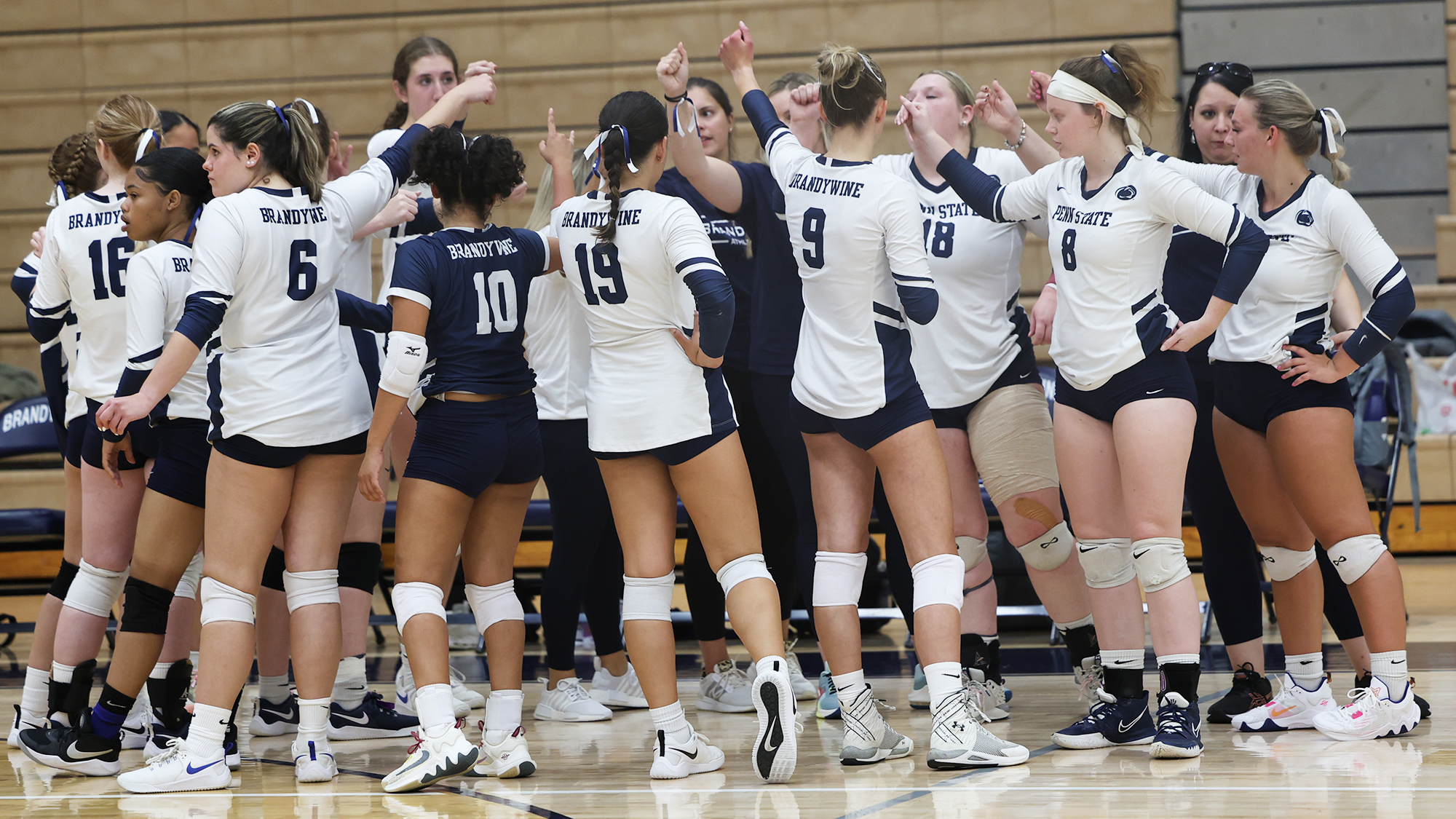 Penn State Brandywine volleyball team