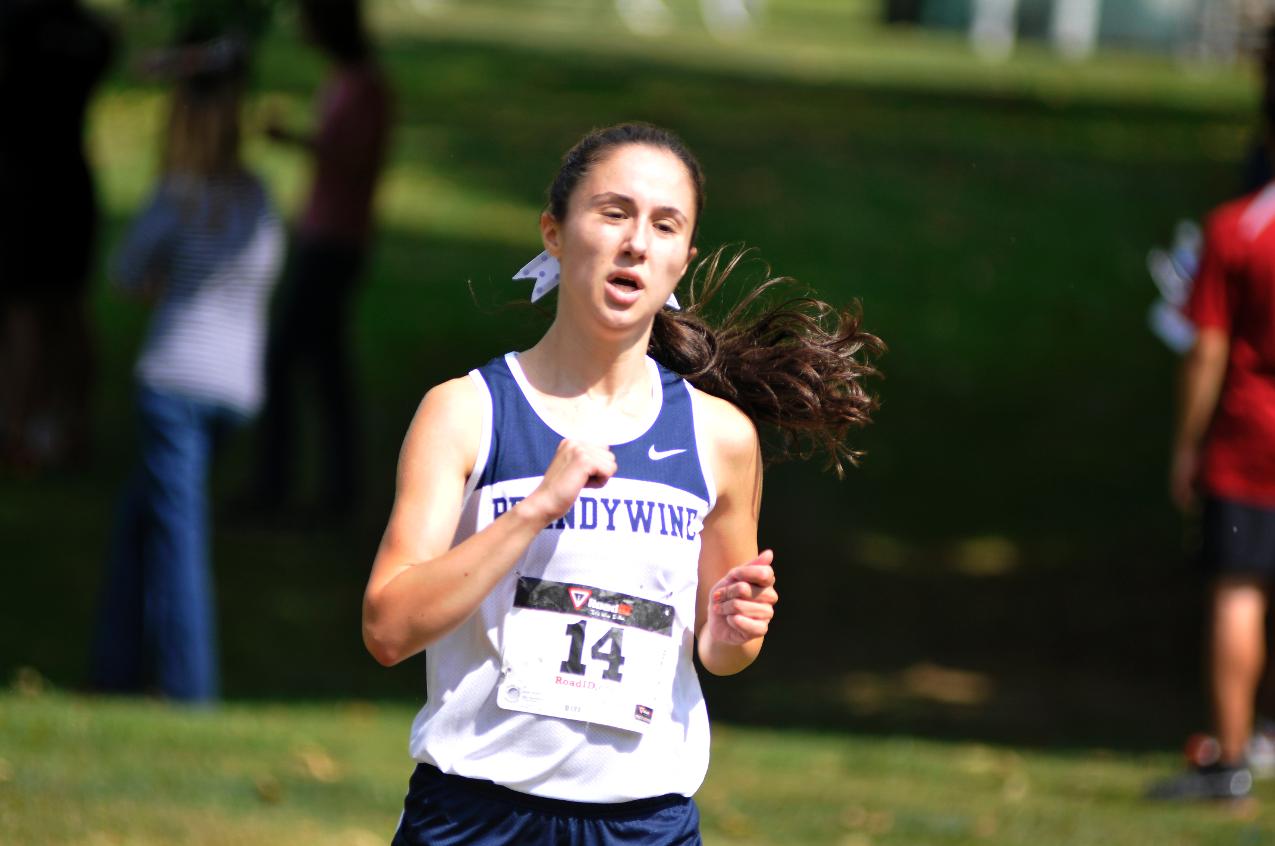 Brandywine Cross Country Runs At Princeton Invitational